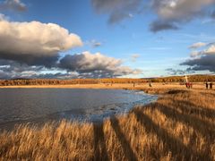 -塞罕坝国家级自然保护区