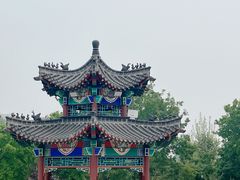 -曹州牡丹园
