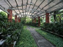 -广州兰圃