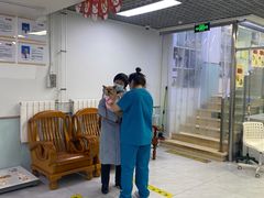 -达爱动物医院·犬猫分区·CT·复杂眼科(远洋山水分院)