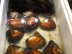 -十八字金·银饰·拼豆·开蚌DIY(魏公芳华里店)