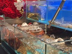 -苏格里岛自助烤肉海鲜火锅(成都金牛万达店)