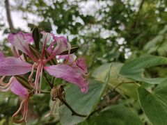 -水濂山森林公园