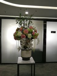 -北京炫美医疗美容