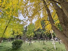 -绵阳人民公园(涪城区)