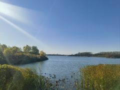 -丁香湖公园