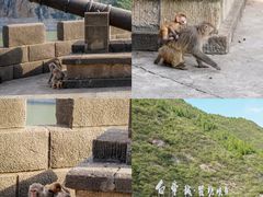 -白帝城·瞿塘峡景区