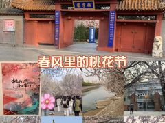 -桃花堤公园