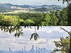 -火炉山森林公园