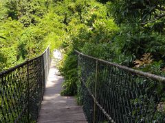 -海南槟榔谷黎苗文化旅游区