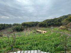 -灵山景区梯田