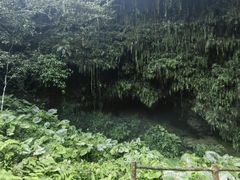 -海口火山口国家地质公园