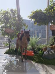 点击看大图 -IMON·HANSA潮玩玩偶毛绒玩具(通州万象汇店)