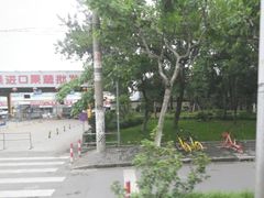 -上海龙吴水胜海发市场