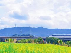 -光明小镇欢乐田园