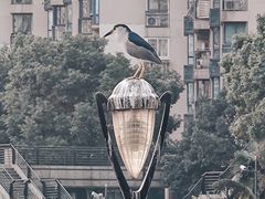 -苏州河梦清园环保主题公园