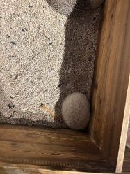 -酷嗒动物文化乐园(cutezoo西溪乐天城店)