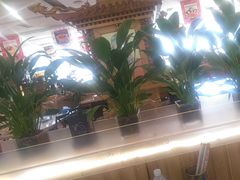 -大清花饺子(山庄店)