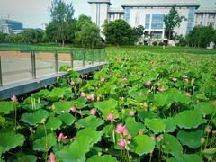 -东南大学(九龙湖校区)
