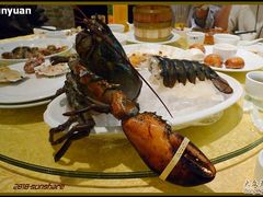 3斤的龙虾-京港生鲜(四道口店)