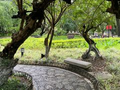 -桂林两江四湖景区