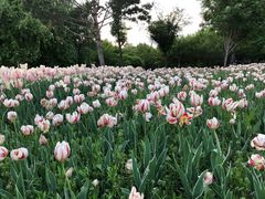 -长春公园(普阳街道)