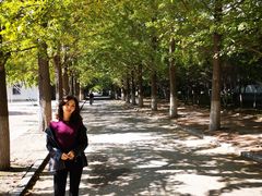 -辽东学院(南校区)