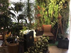 -蓝山四季西餐植物店