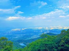 -黄埔油麻山森林公园