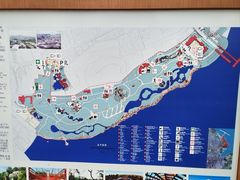 -吴淞炮台湾湿地森林公园烧烤区