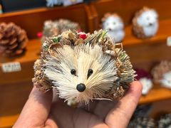 -橡皮书店(翠湖北路店)