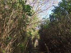 -黑龙江省森林植物园