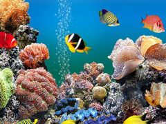 -太平洋海底世界