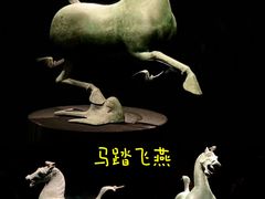 -甘肃省博物馆
