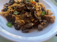 -大笮风(体育馆总店)