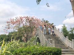 -四海公园(南山区)