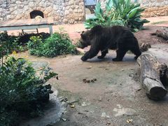 -昆明动物园
