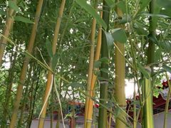 -莲池书院博物馆