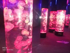 -成都浩海立方海洋公园