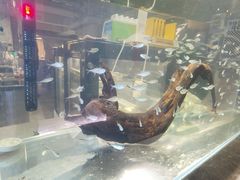 -浣熊柯尔鸭土拨鼠·电玩咖