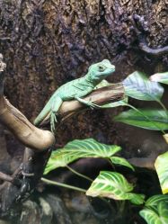 -酷嗒动物文化乐园(cutezoo西溪乐天城店)