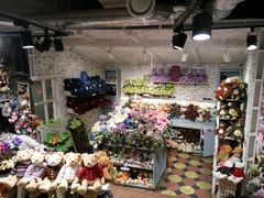 -济州岛泰迪熊博物馆