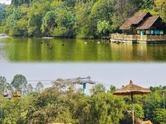 -广州长隆野生动物世界