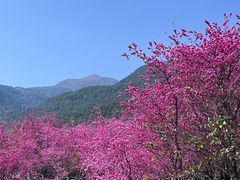 -花溪公园