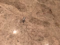 -青岛银沙滩温德姆至尊酒店