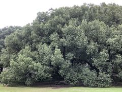 -上海兴国宾馆香樟园西餐厅