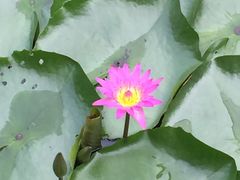 -揭东万竹园旅游景区