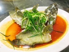 老虎斑-蚝专家(北滘店)