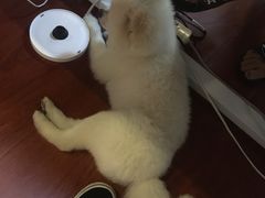 -零几体验diy皮具工作室(振业城店)