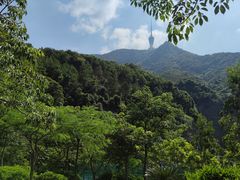 -梧桐山风景名胜区